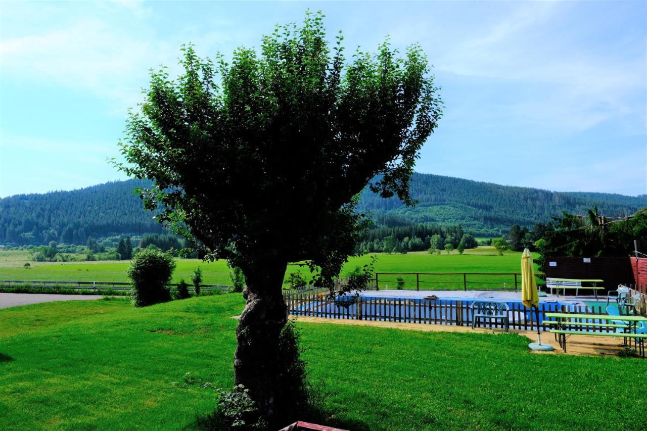 B Und B Titisee Hotel Sonnenmatte Nahe Badeparadies Exteriör bild